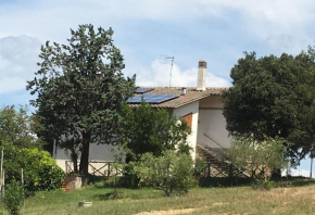 Al Sasso Città Di Castello